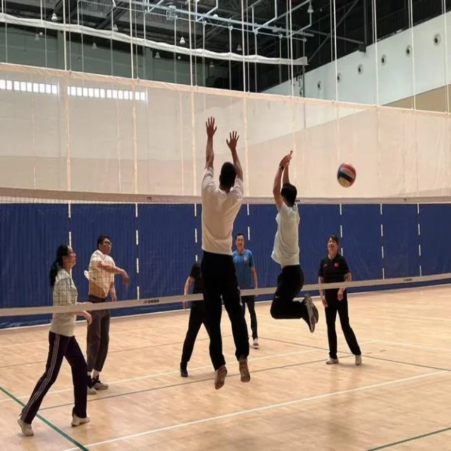 德约科维奇红土赛季表现分析